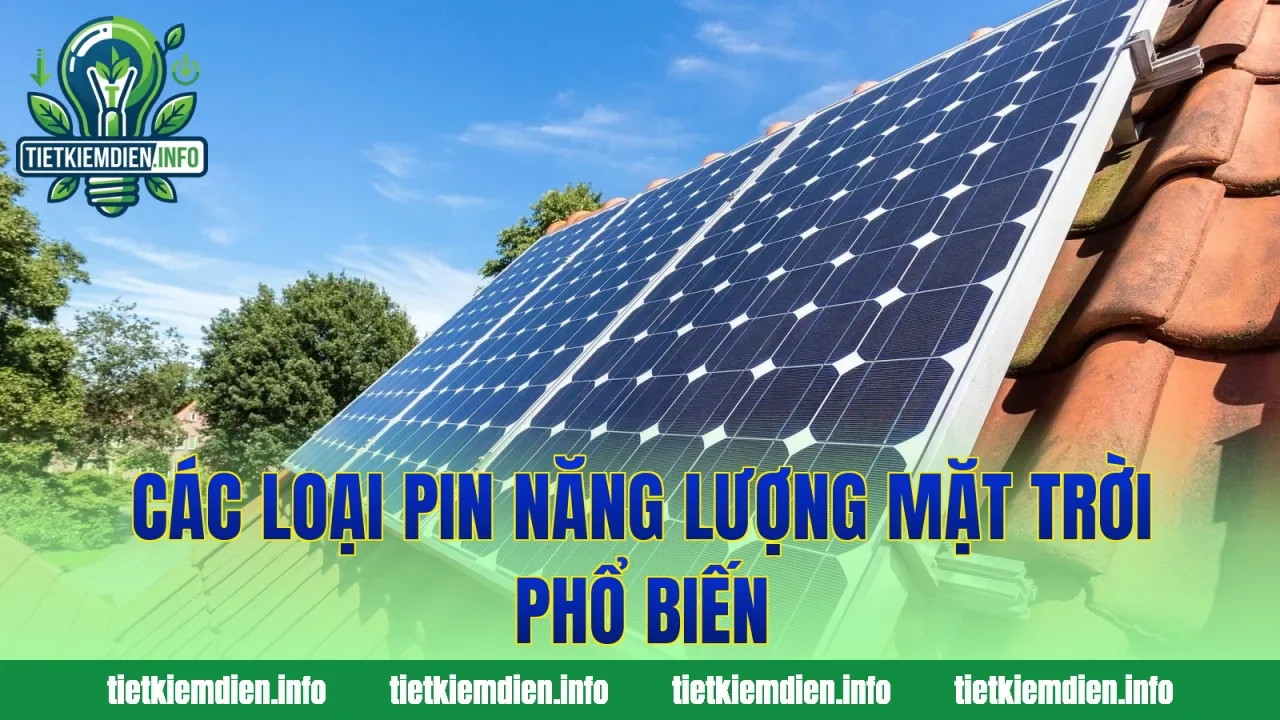 Các loại pin năng lượng mặt trời phổ biến