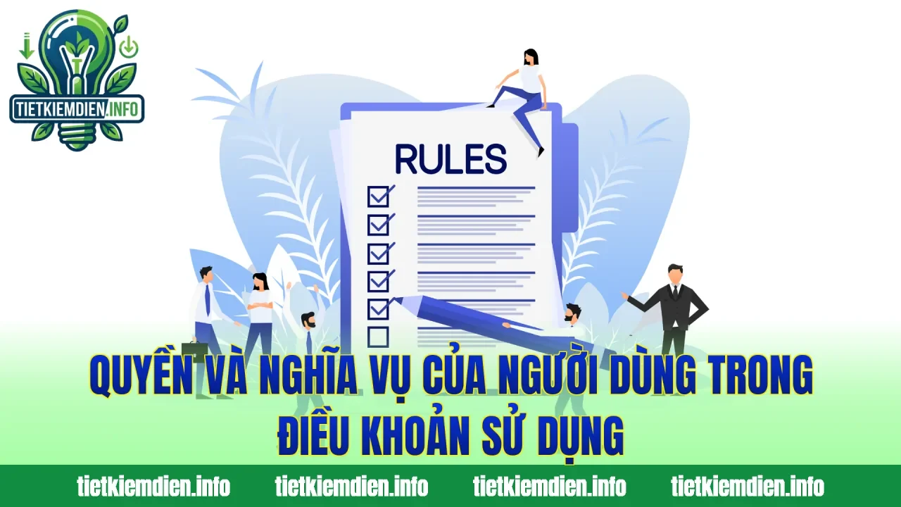 Quyền và nghĩa vụ của người dùng trong điều khoản sử dụng